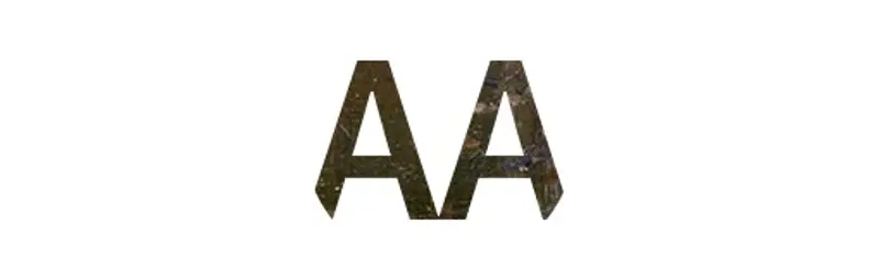 Illustration of two As.